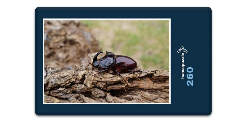 18064 Tierwelt - Nashorn-Käfer Puzzle