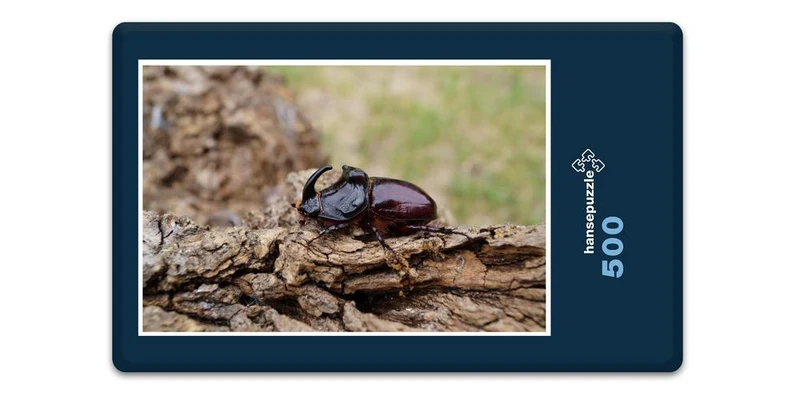 18064 Tierwelt - Nashorn-Käfer Puzzle