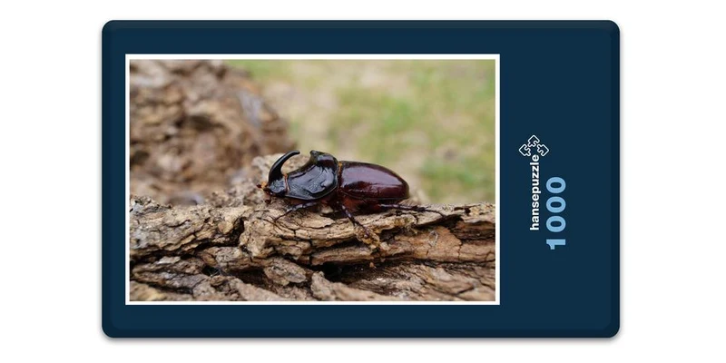 18064 Tierwelt - Nashorn-Käfer Puzzle