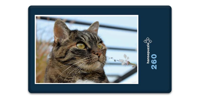 18063 Tierwelt - Katzen-Auge Puzzle