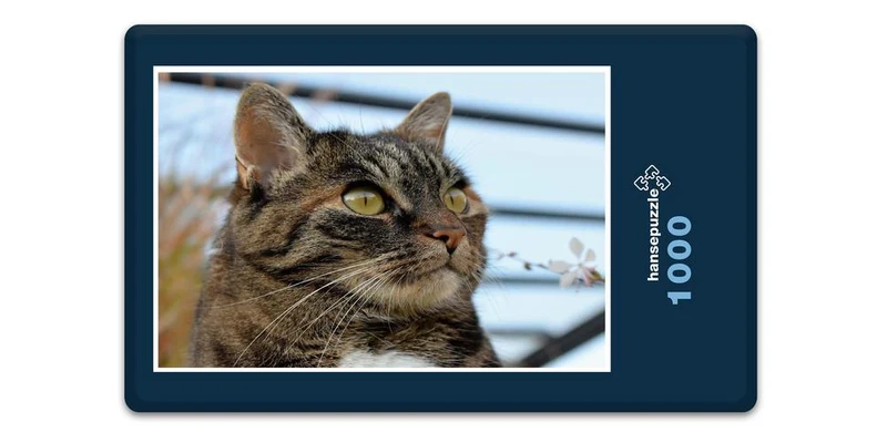 18063 Tierwelt - Katzen-Auge Puzzle