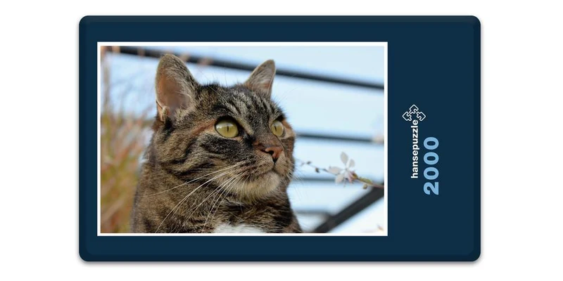 18063 Tierwelt - Katzen-Auge Puzzle
