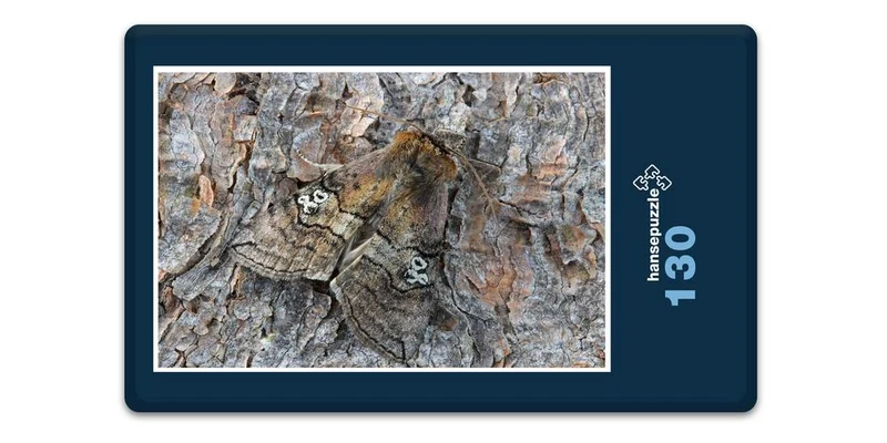 18062 Tierwelt - Versteckter Falter Puzzle