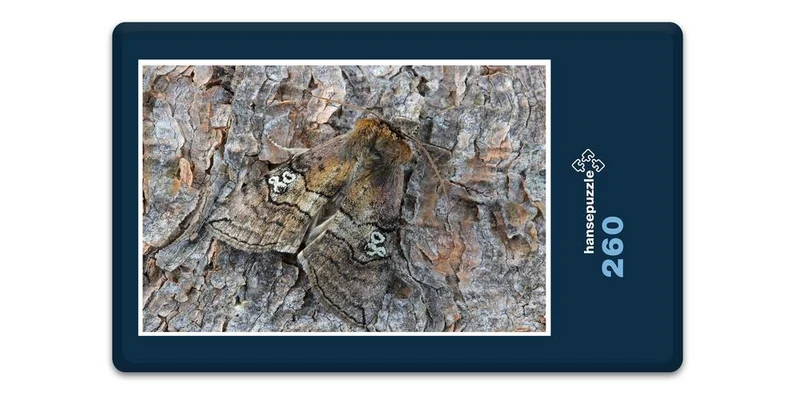 18062 Tierwelt - Versteckter Falter Puzzle