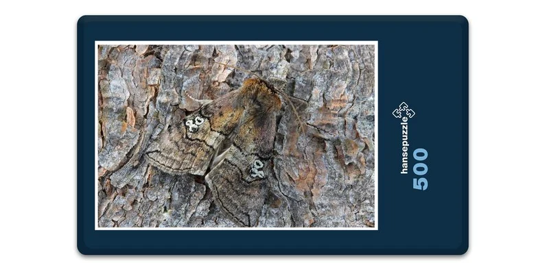 18062 Tierwelt - Versteckter Falter Puzzle