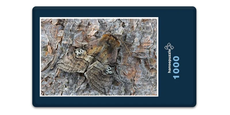18062 Tierwelt - Versteckter Falter Puzzle
