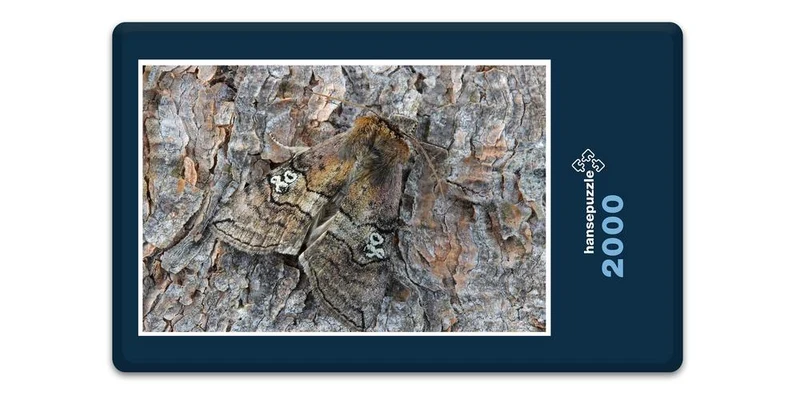 18062 Tierwelt - Versteckter Falter Puzzle