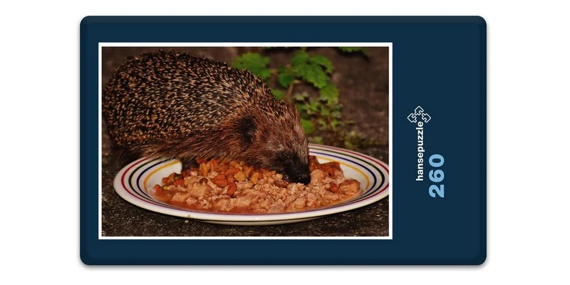 18061 Tierwelt - Igel im Teller Puzzle
