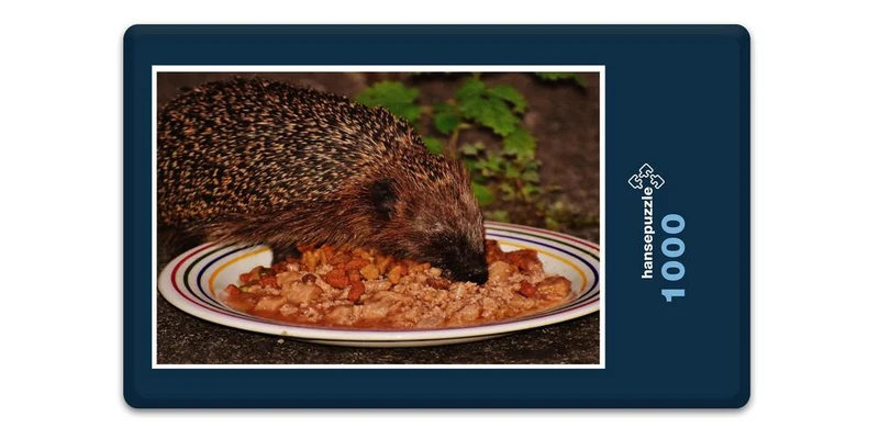 18061 Tierwelt - Igel im Teller Puzzle
