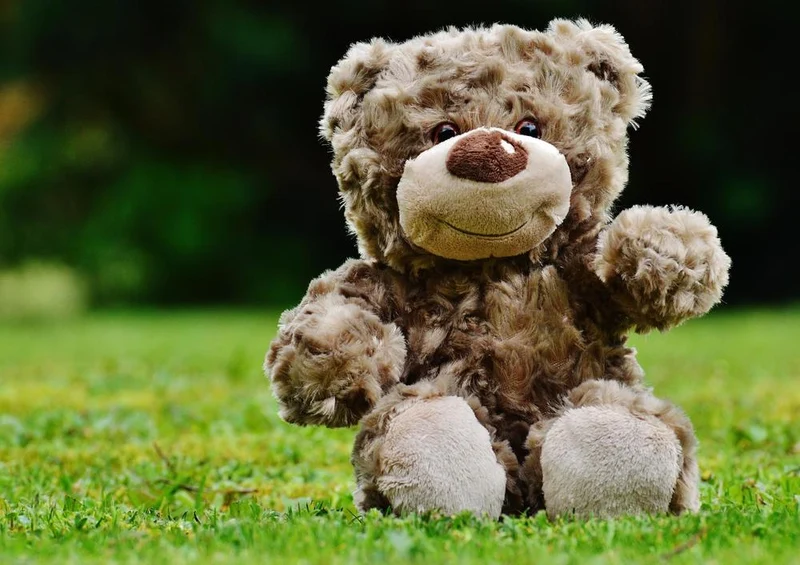 18060 Tierwelt - Teddy auf der Wiese Puzzle