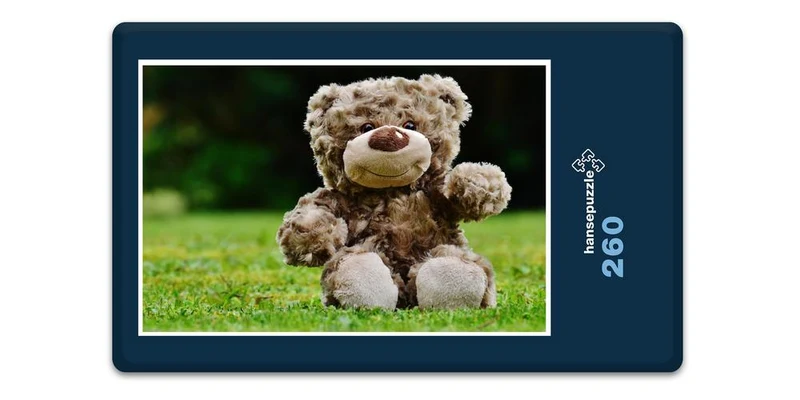 18060 Tierwelt - Teddy auf der Wiese Puzzle