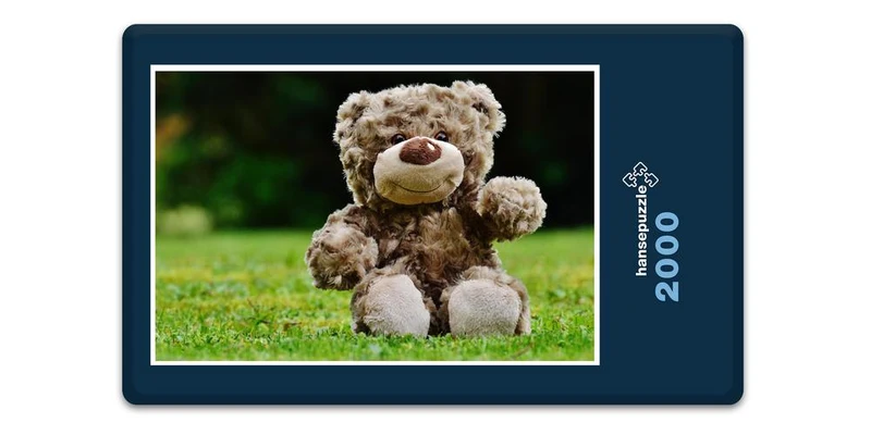 18060 Tierwelt - Teddy auf der Wiese Puzzle