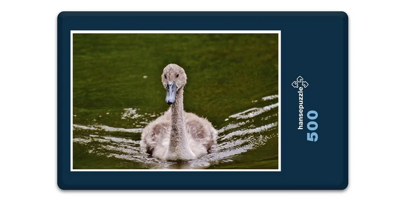 18059 Tierwelt - junger Schwan Puzzle