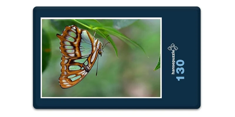 18058 Tierwelt - Schmetterling Puzzle