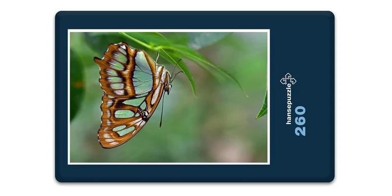 18058 Tierwelt - Schmetterling Puzzle