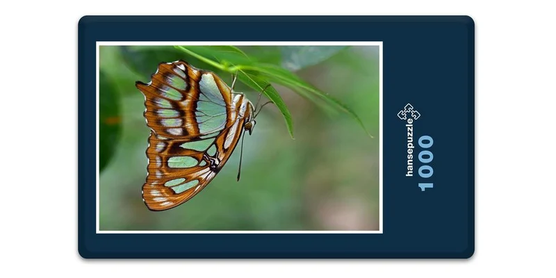 18058 Tierwelt - Schmetterling Puzzle