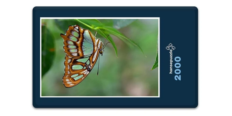 18058 Tierwelt - Schmetterling Puzzle