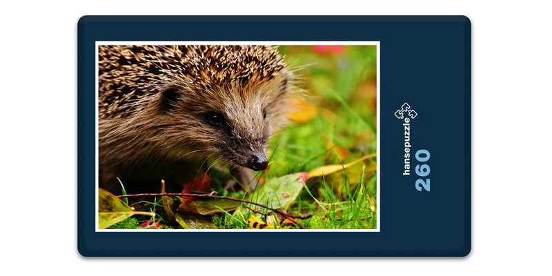 18056 Tierwelt - Igel im Garten Puzzle