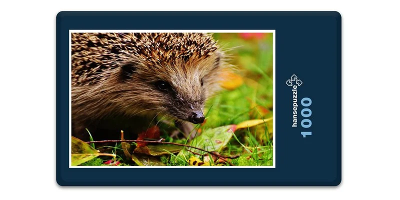 18056 Tierwelt - Igel im Garten Puzzle