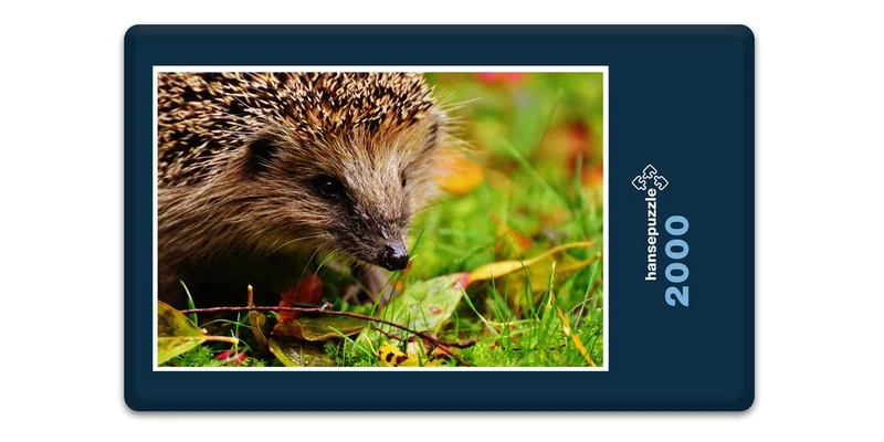 18056 Tierwelt - Igel im Garten Puzzle