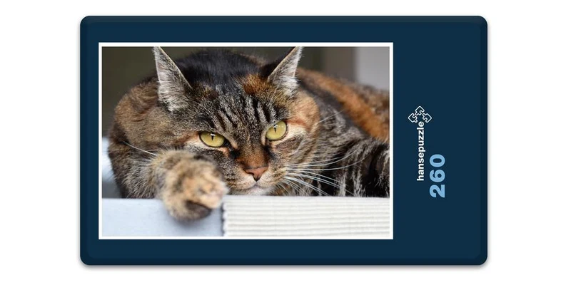18055 Tierwelt - Katze Puzzle