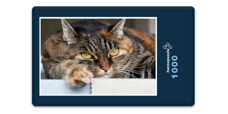 18055 Tierwelt - Katze Puzzle