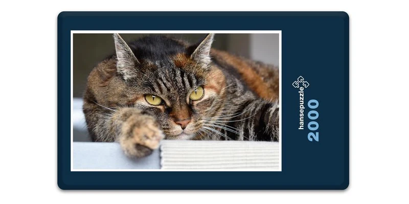 18055 Tierwelt - Katze Puzzle