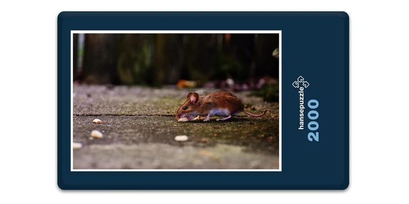 18054 Tierwelt - Guten Appetit Puzzle