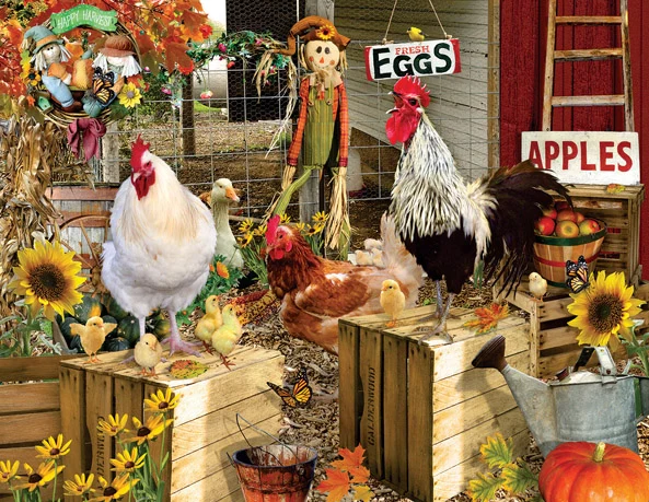Chickens on the Farm, Lori Schory