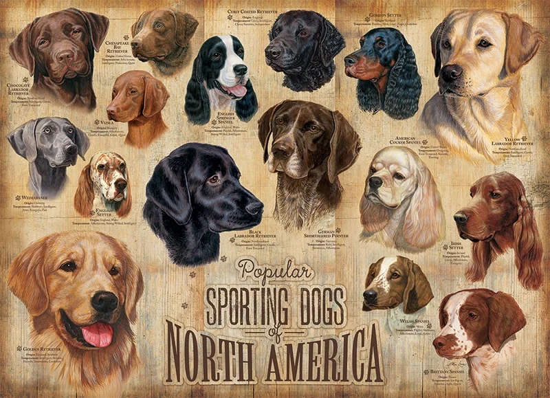 Sporting Dogs, Mia Lane