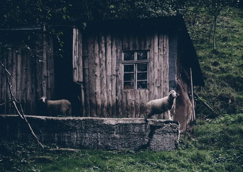 28719 Tierwelt - Bauernhaus Puzzle