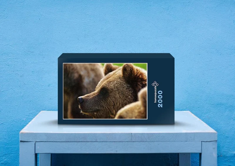 28714 Tierwelt - Braunbär Puzzle
