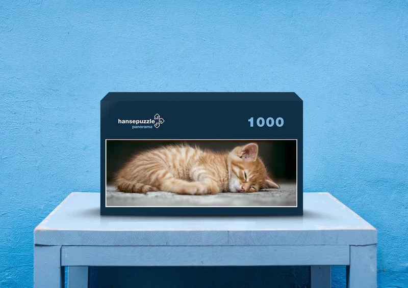 29373 Tierwelt - Katze Puzzle