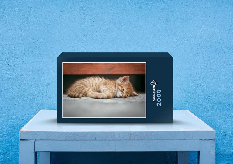 29373 Tierwelt - Katze Puzzle