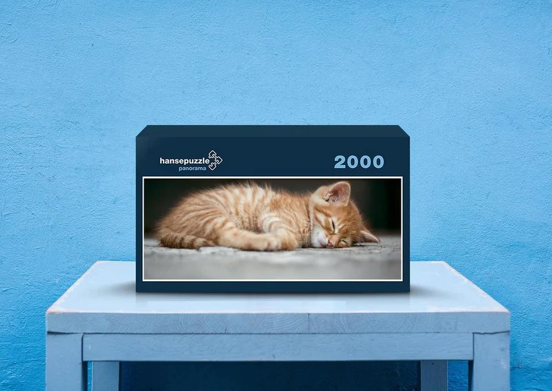 29373 Tierwelt - Katze Puzzle