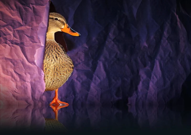 28689 Tierwelt - Ente Puzzle