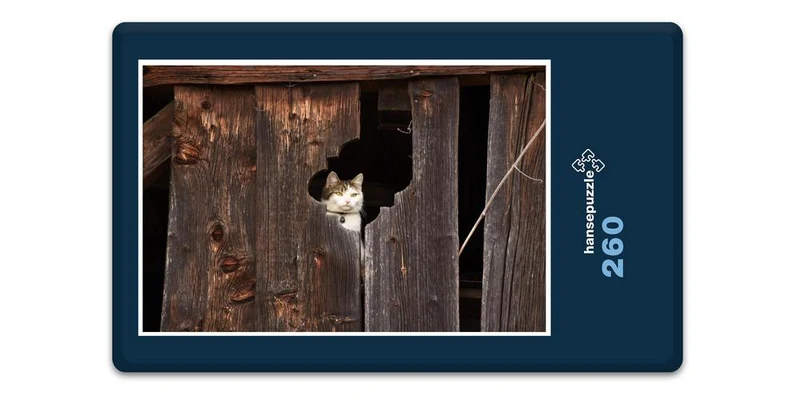 17110 Tierwelt - Katze im Blick Puzzle
