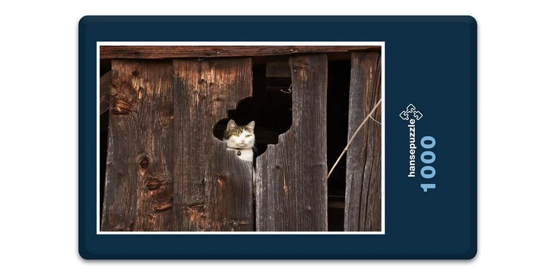 17110 Tierwelt - Katze im Blick Puzzle