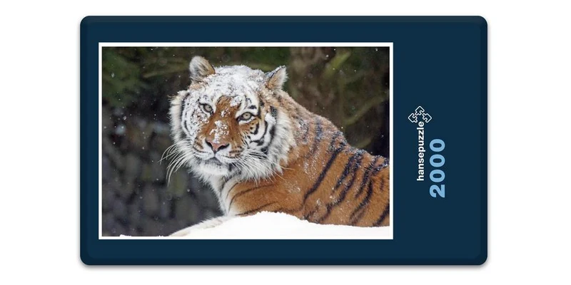 17109 Tierwelt - Schnee-Tiger Puzzle