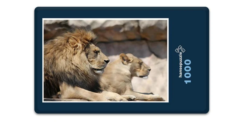 17108 Tierwelt - König der Tiere Puzzle