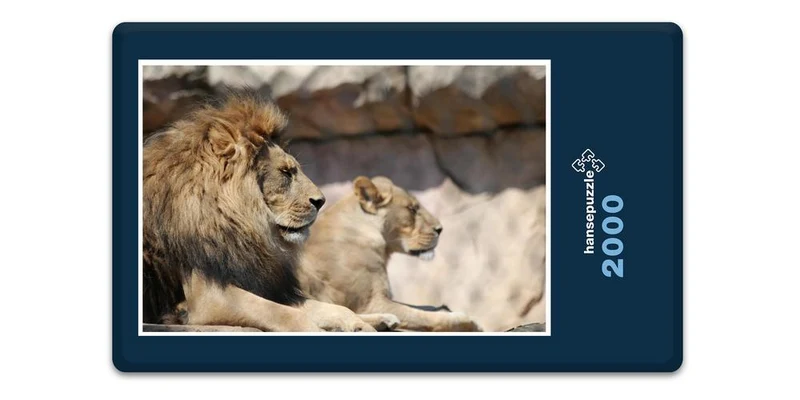17108 Tierwelt - König der Tiere Puzzle