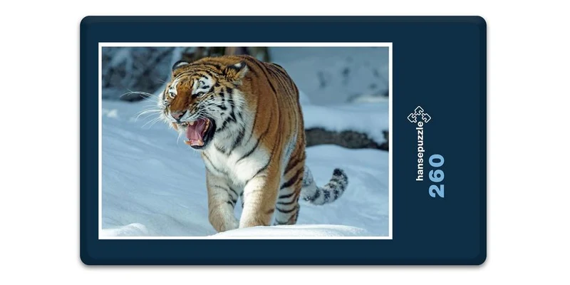 17107 Tierwelt - Tiger Puzzle