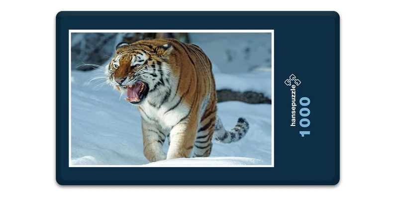 17107 Tierwelt - Tiger Puzzle