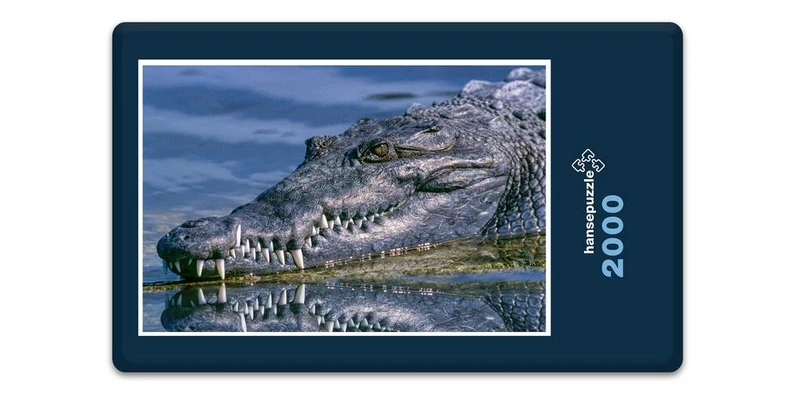 18053 Tierwelt - Krokodil Puzzle