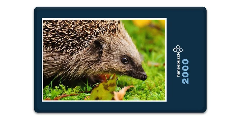 18051 Tierwelt - Igel Puzzle