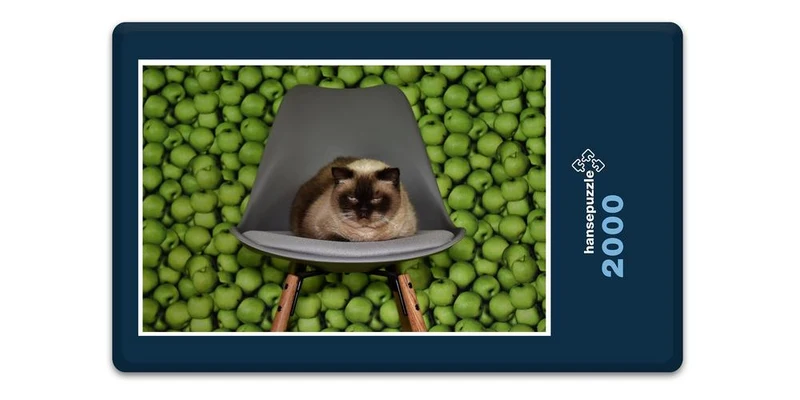 18050 Tierwelt - Katze auf Stuhl Puzzle
