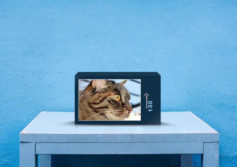29743 Tierwelt - Katze Puzzle