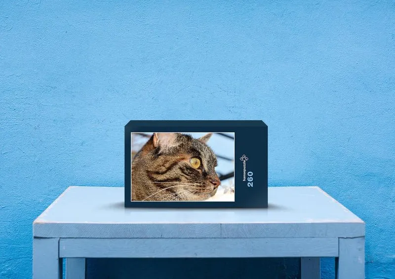 29743 Tierwelt - Katze Puzzle