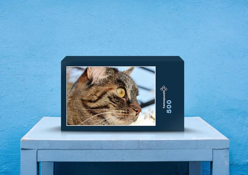 29743 Tierwelt - Katze Puzzle