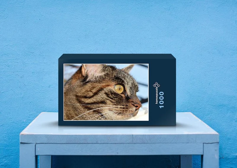 29743 Tierwelt - Katze Puzzle